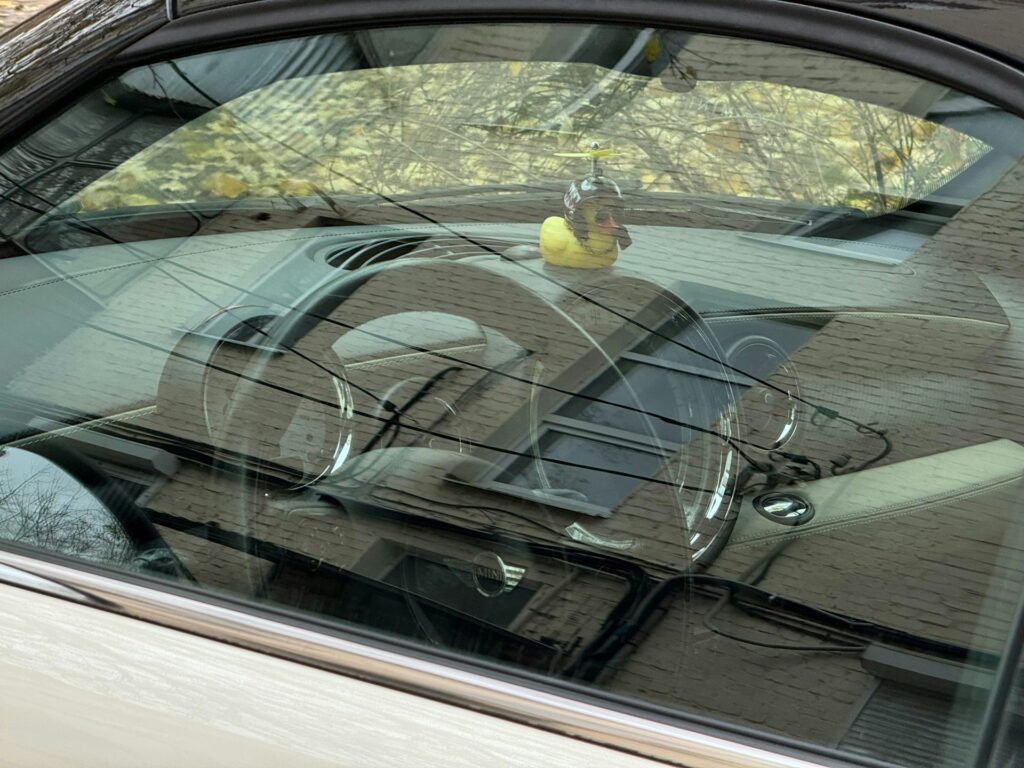 Windshield Protection